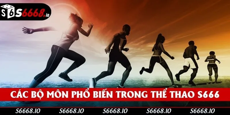 Giới thiệu các bộ môn phổ biến trong thể thao S666